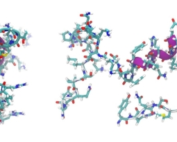 365 Glacier Payments Welcomes Peptide Merchants